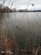 Jak jsme se snažili, když byla školka uzavřená